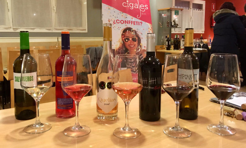 Cata vino denominación de origen Cigales